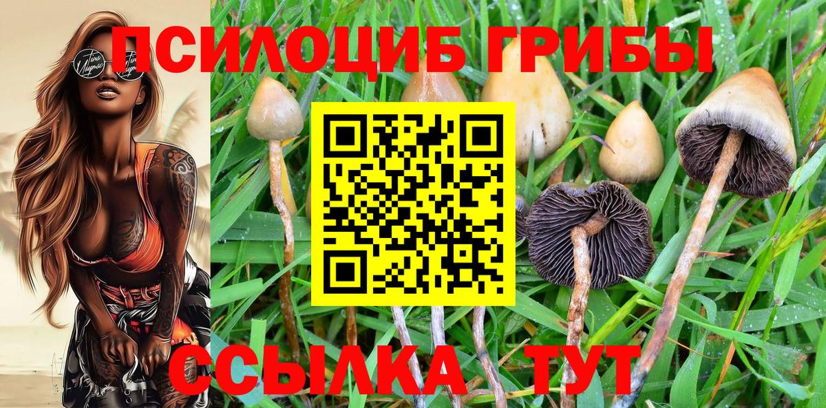 Псилоцибиновые грибы GOLDEN TEACHER Углич